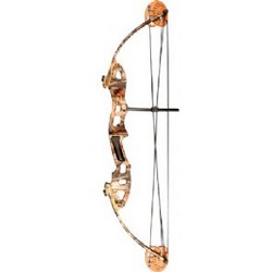 Alpine Archery Micro Stalker Compound Bow Review