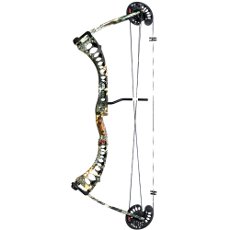 Compound Bow Buyers Guide. Compound Bow Guides