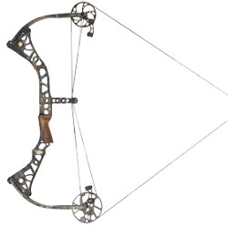 Mathews DXT Compound Bow Review